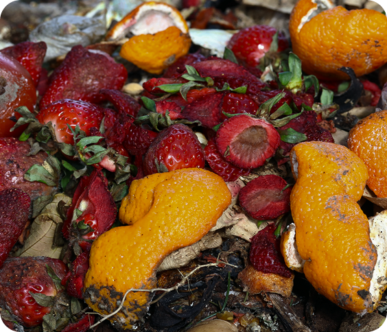 Lets Understand Image